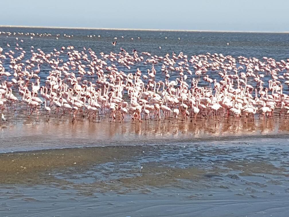 Elilo Bed And Breakfast Walvis Bay Bagian luar foto