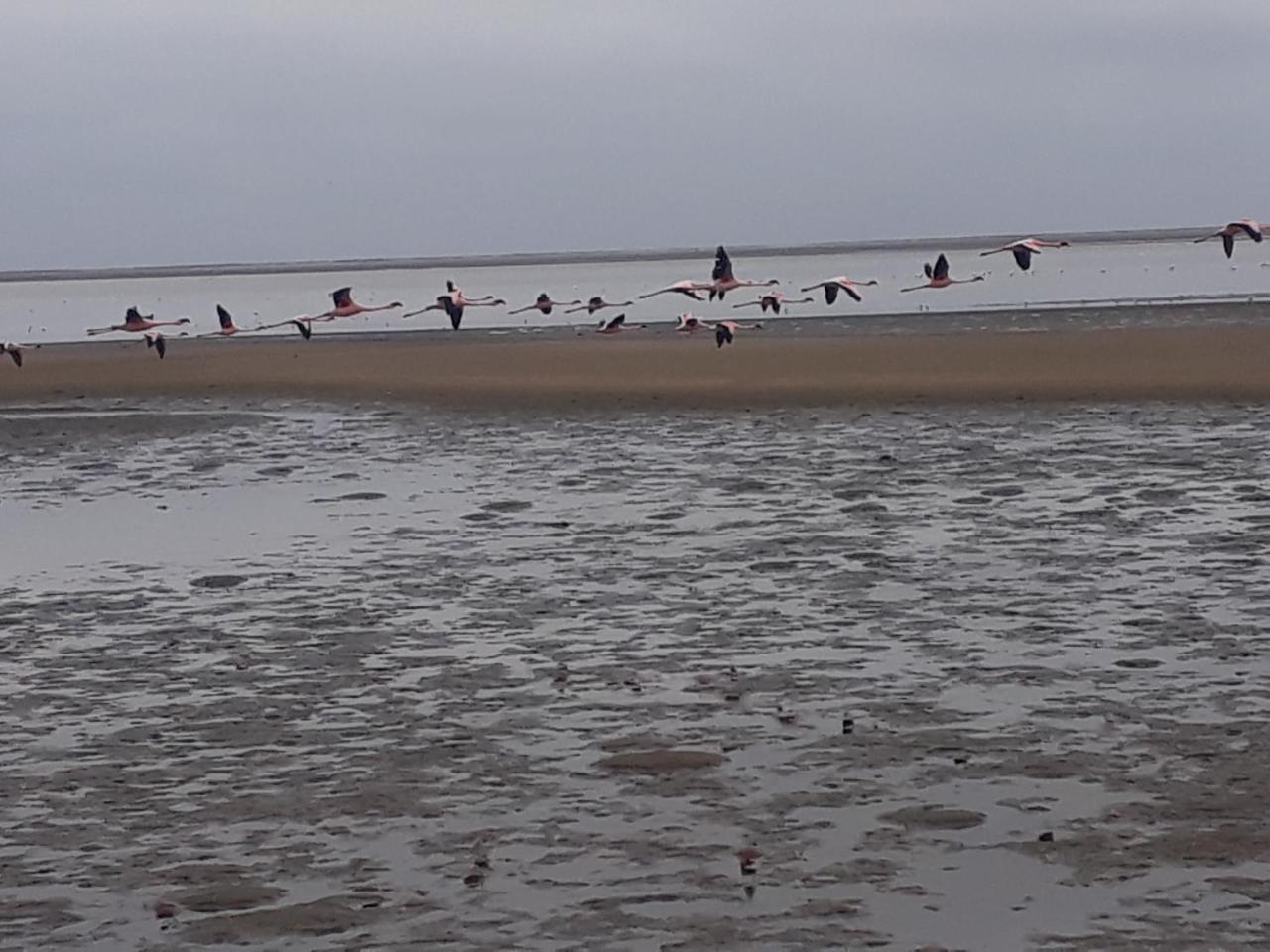 Elilo Bed And Breakfast Walvis Bay Bagian luar foto
