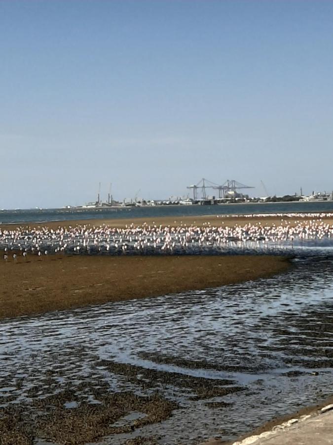 Elilo Bed And Breakfast Walvis Bay Bagian luar foto